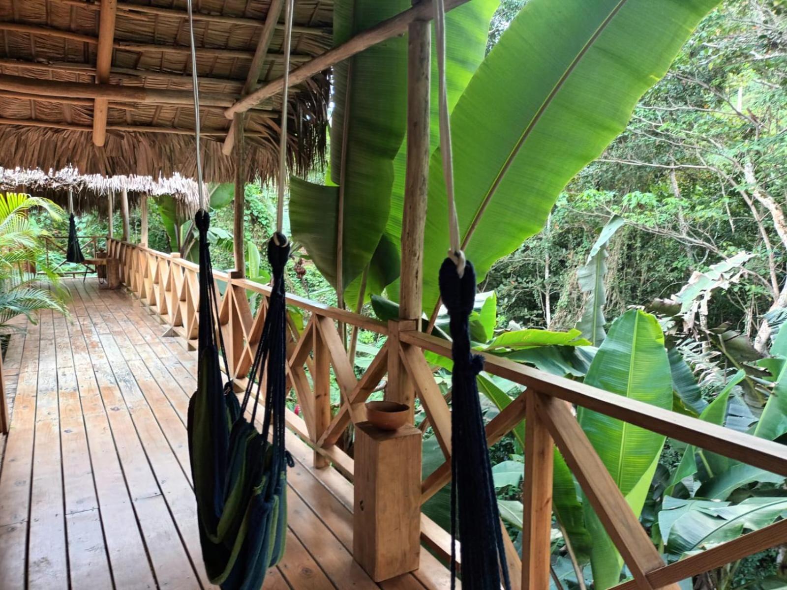 Samo Eco Lodge Las Terrenas Exterior photo
